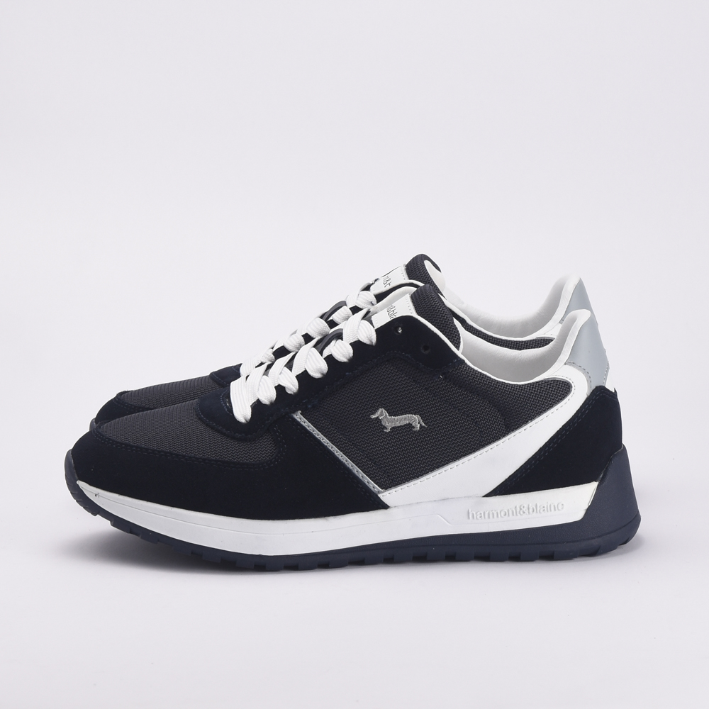 HARMONT AND BLAINE EFM241.090.6200