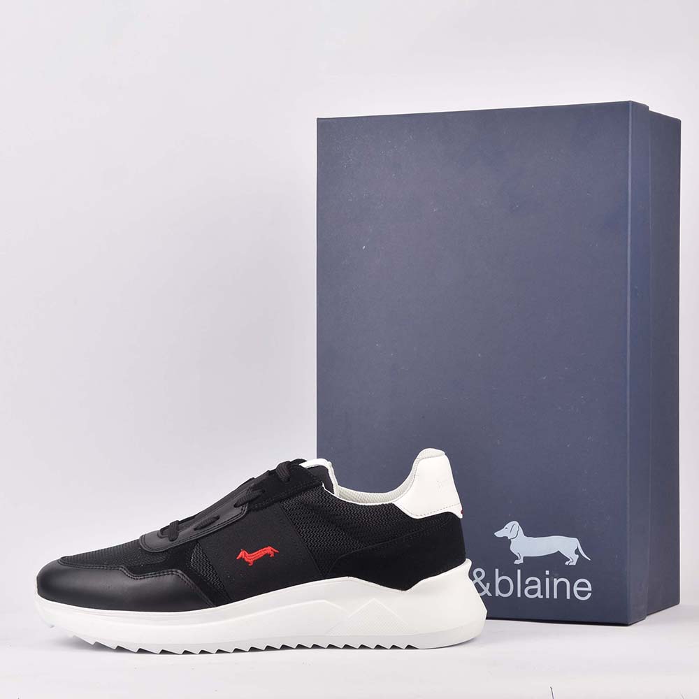 HARMONT AND BLAINE SCARPA UOMO CALF NERO 