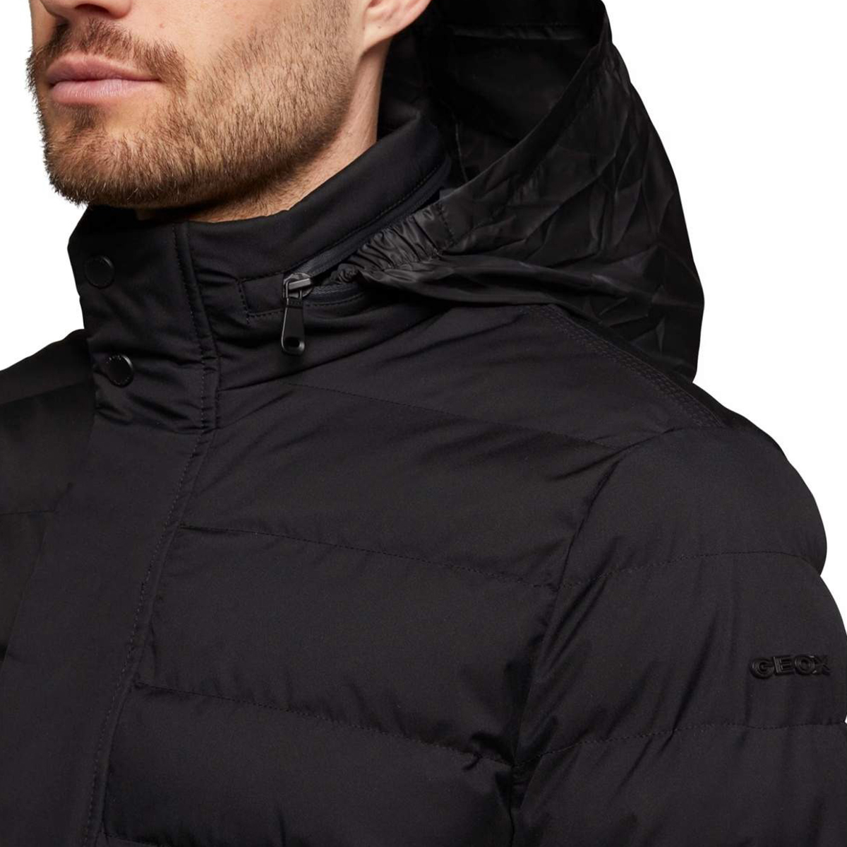 Veste GEOX HOMME 