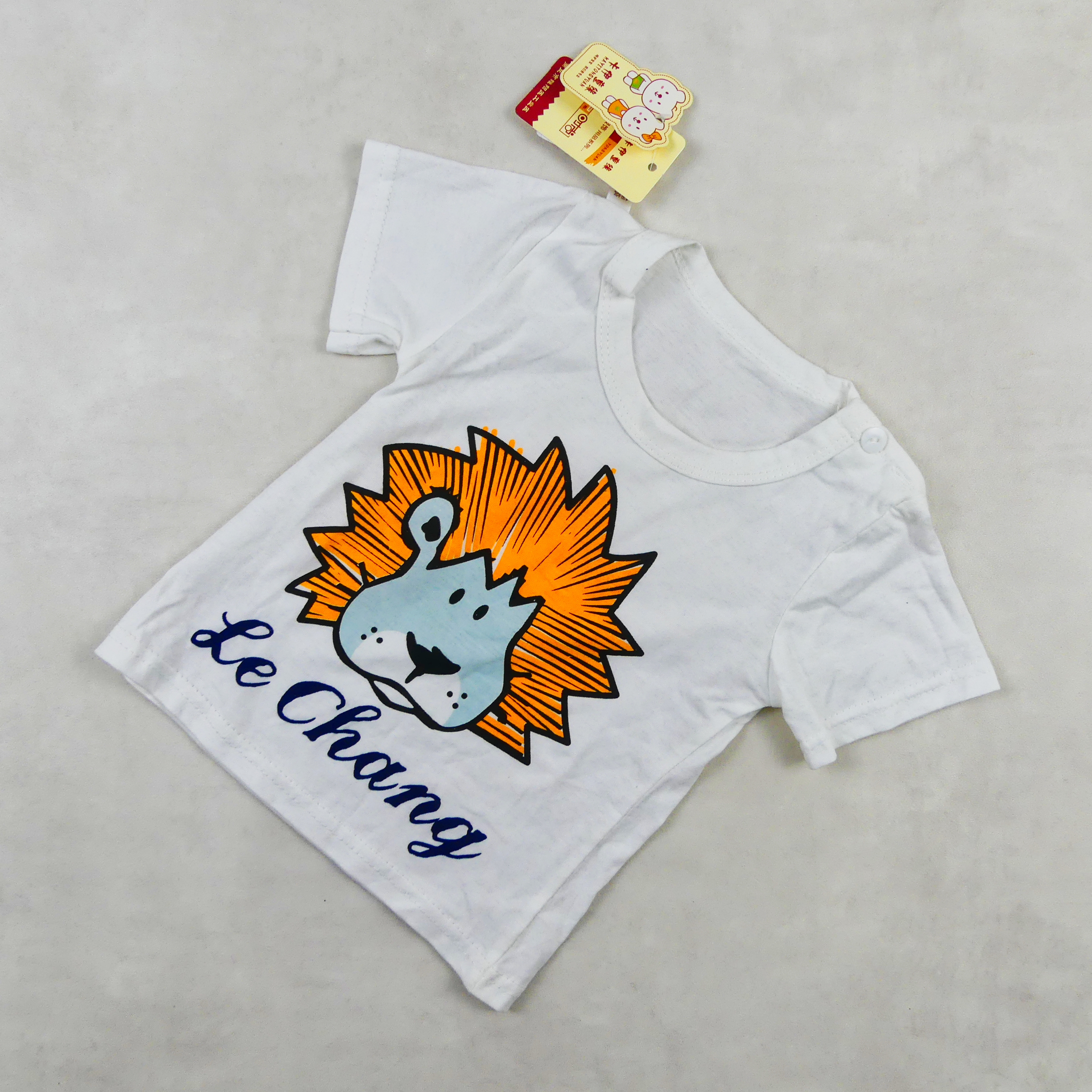 ENSEMBLE LE CHANG MOTIF LION 