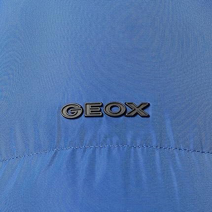Veste GEOX HOMME 
