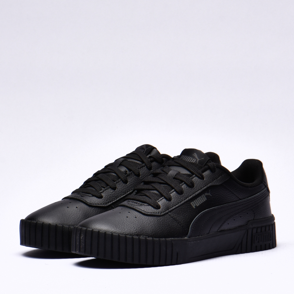 Puma carina 2.0