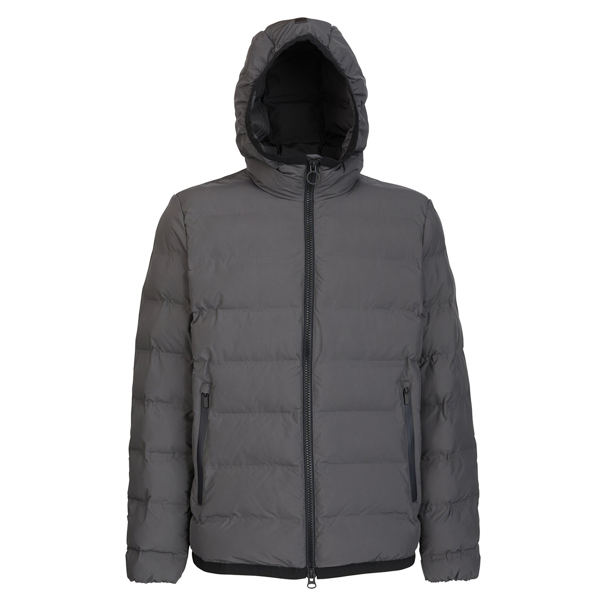 Veste GEOX HOMME 