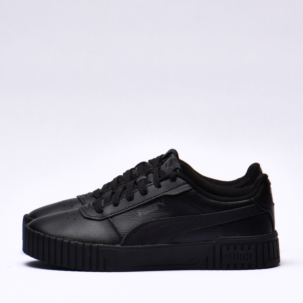 Puma carina 2.0