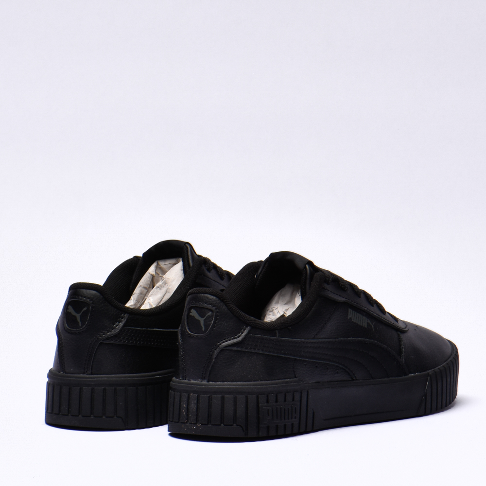 Puma carina 2.0