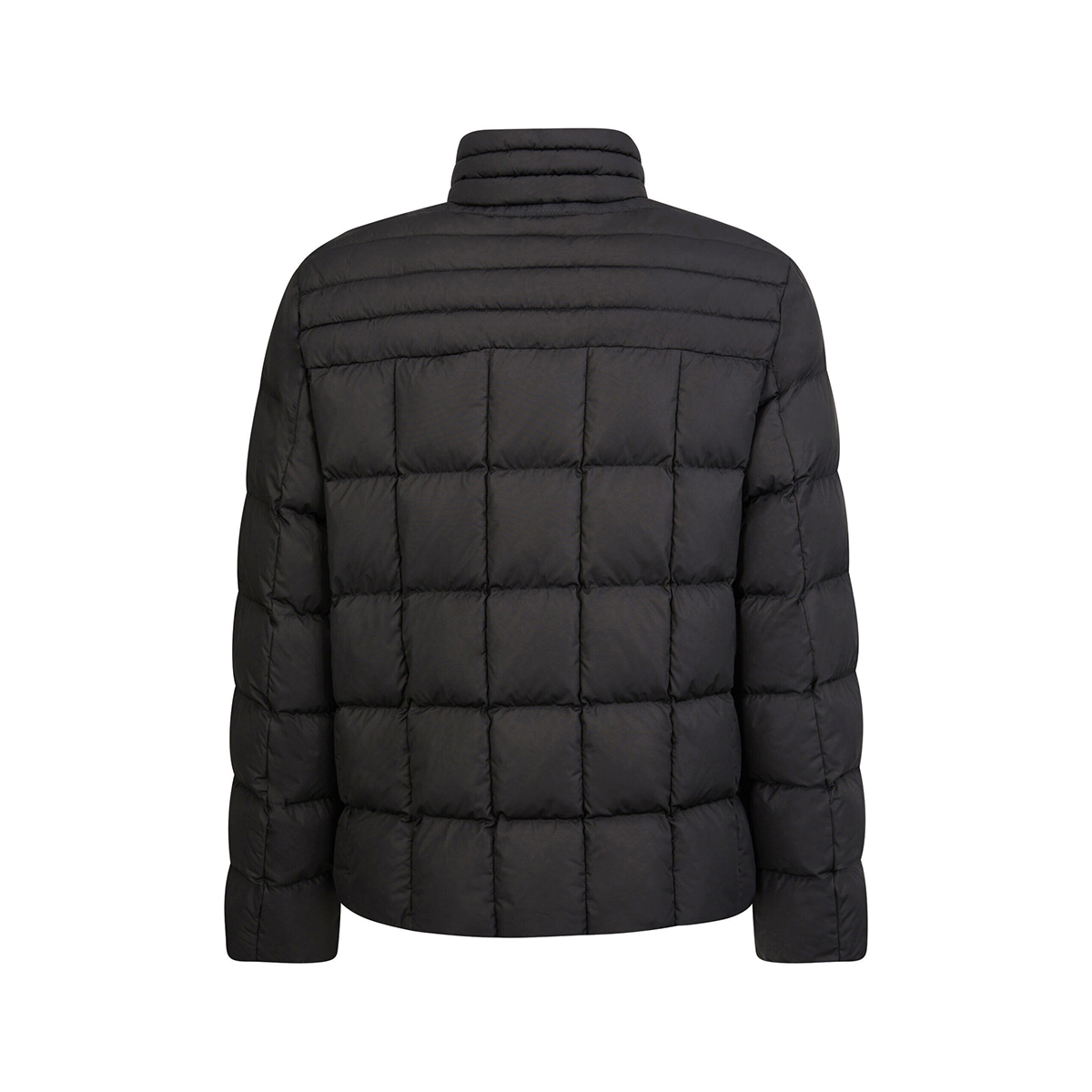 Veste GEOX HOMME 