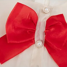 Teenage girl princess ENFANTS