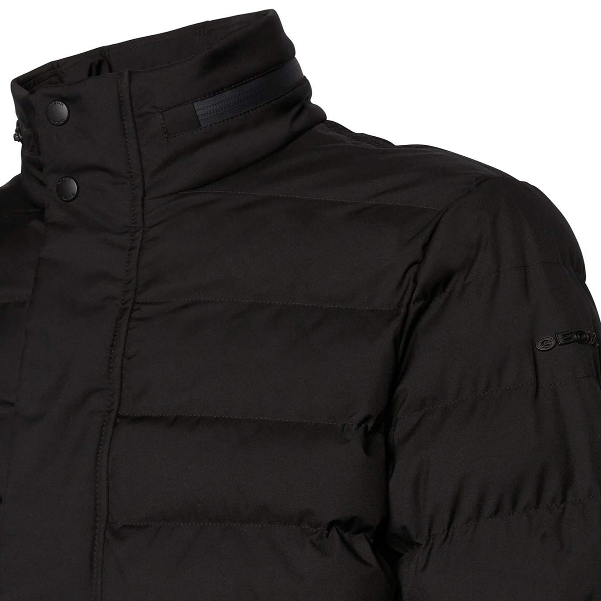 Veste GEOX HOMME 