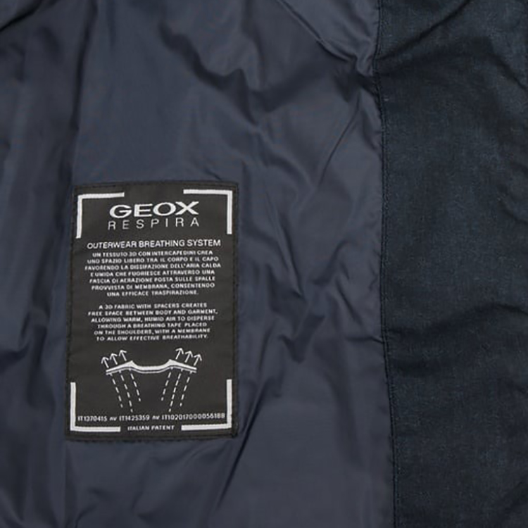Veste GEOX HOMME 