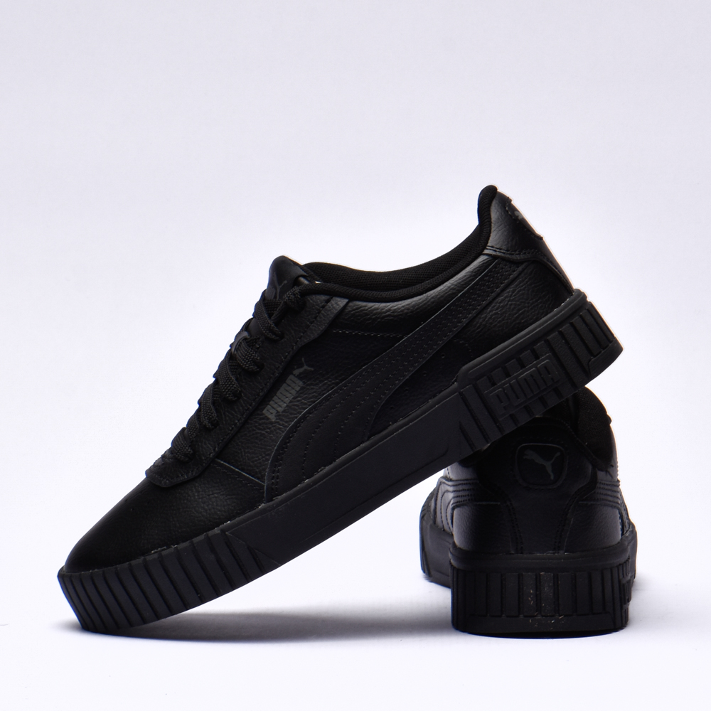 Puma carina 2.0