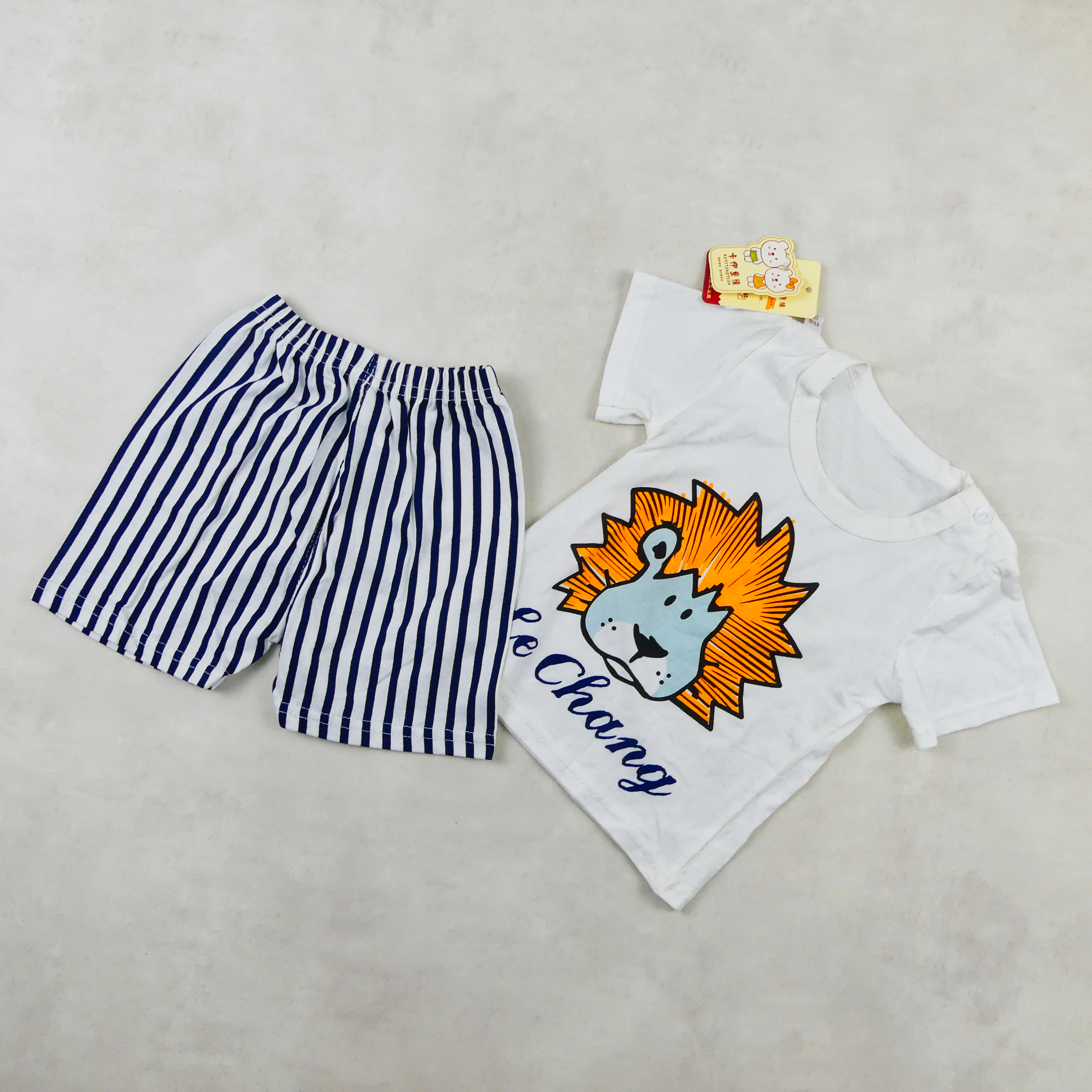 ENSEMBLE LE CHANG MOTIF LION 