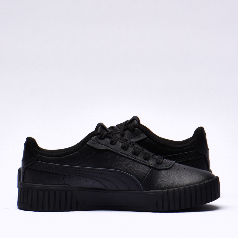 Puma carina 2.0
