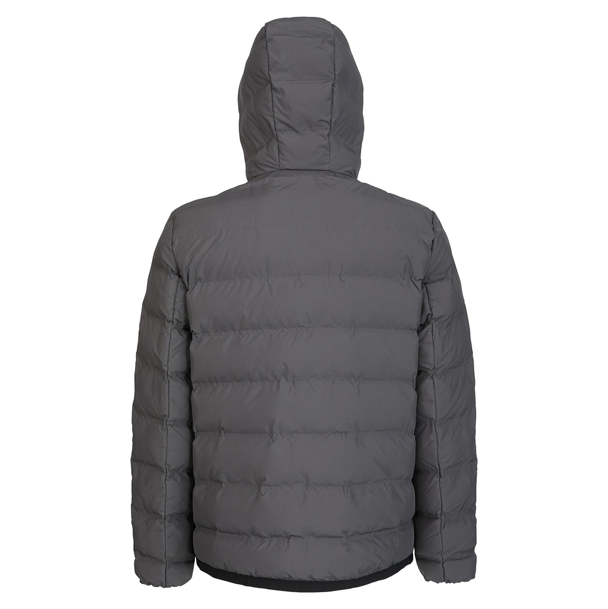 Veste GEOX HOMME 