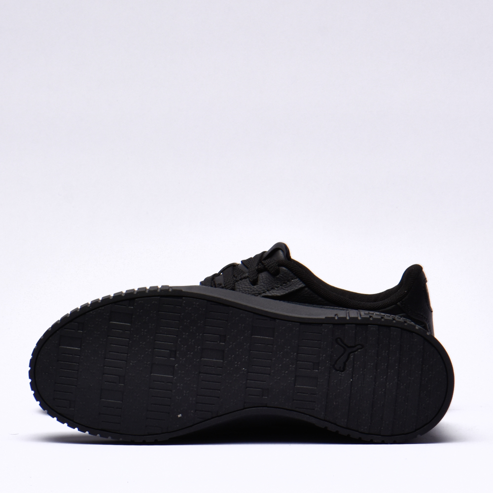 Puma carina 2.0