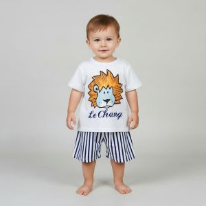 ENSEMBLE LE CHANG MOTIF LION 