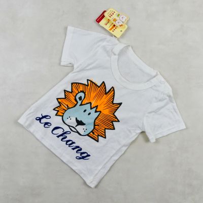 ENSEMBLE LE CHANG MOTIF LION 