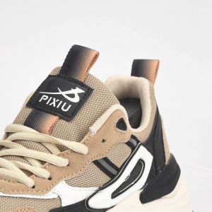 PIXIU SHOES