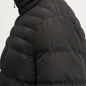 Veste GEOX HOMME