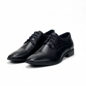 ANDRÉ CHAUSSURE CLASSIQUE HOMME CARIOUX NOIR