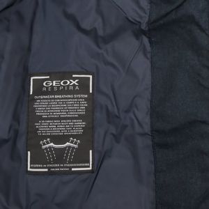 Veste GEOX HOMME 