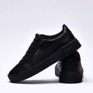 Puma carina 2.0
