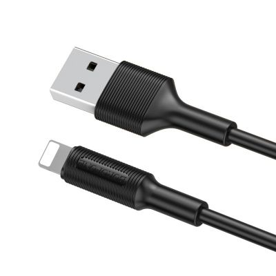 Câble USB vers Lightning BX1