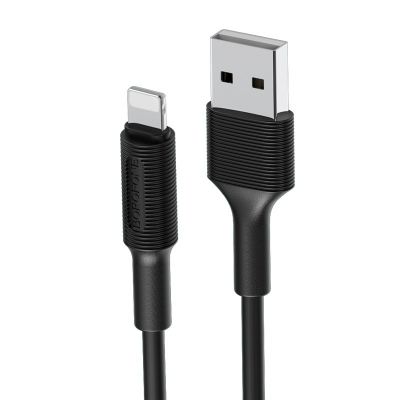 Câble USB vers Lightning BX1